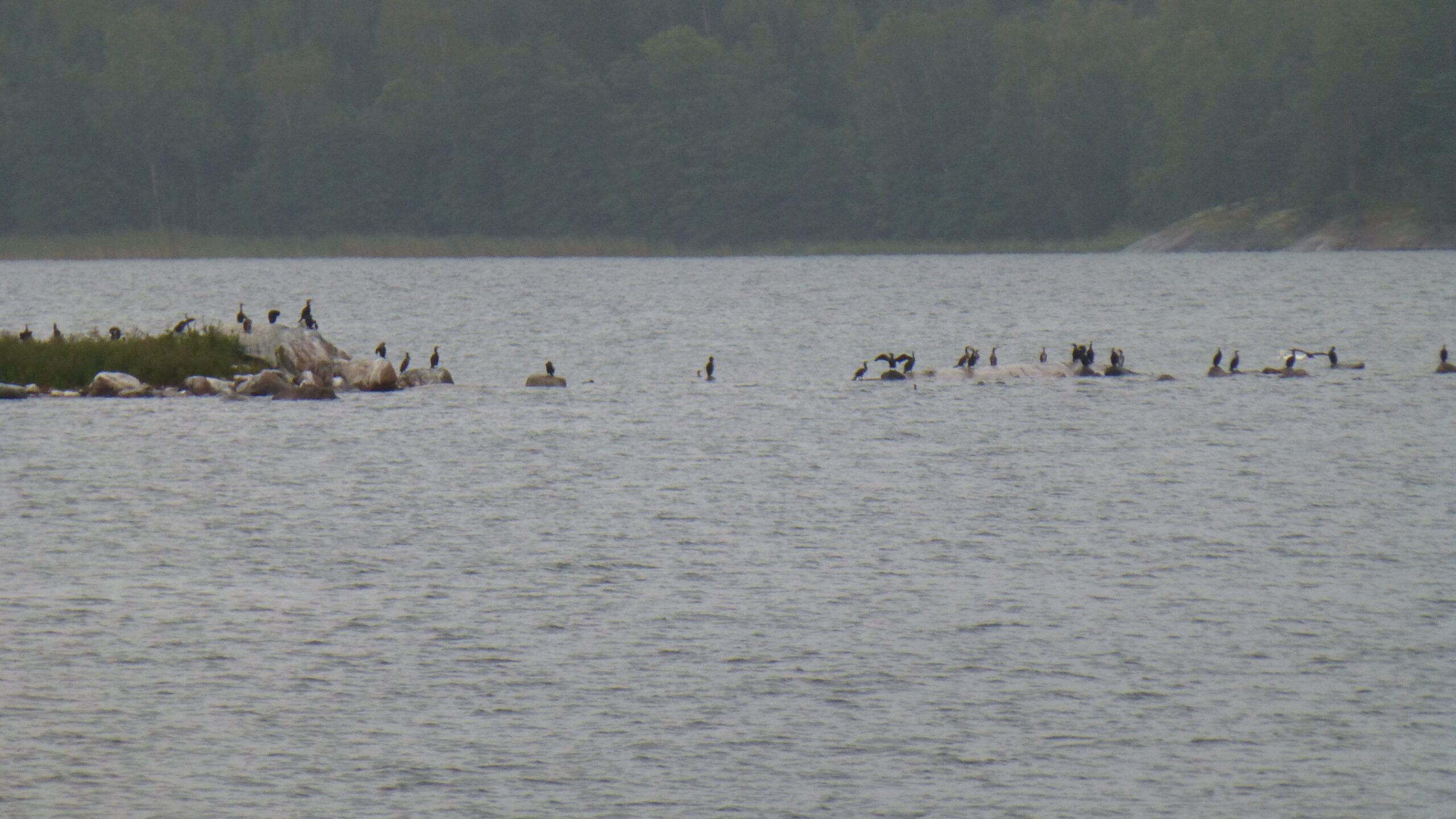 Roslagsrundan 2018